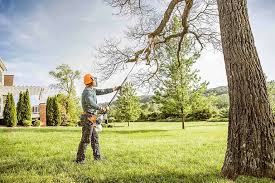 Best Tree Health Inspection  in Reidville, SC
